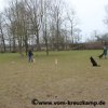 2018-03-31_9345