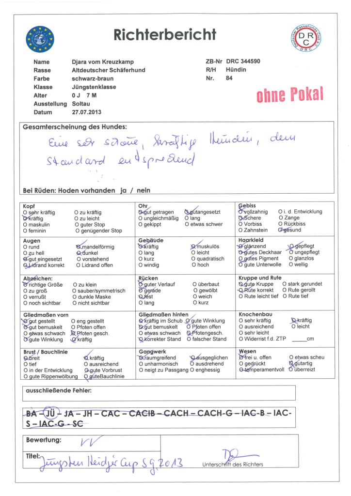 djara-richterbericht-juengstenklasse