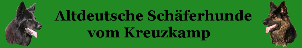 Banner-vom-Kreuzkamp.de-998x159